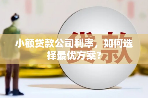 北票小额贷款公司利率，如何选择最优方案？
